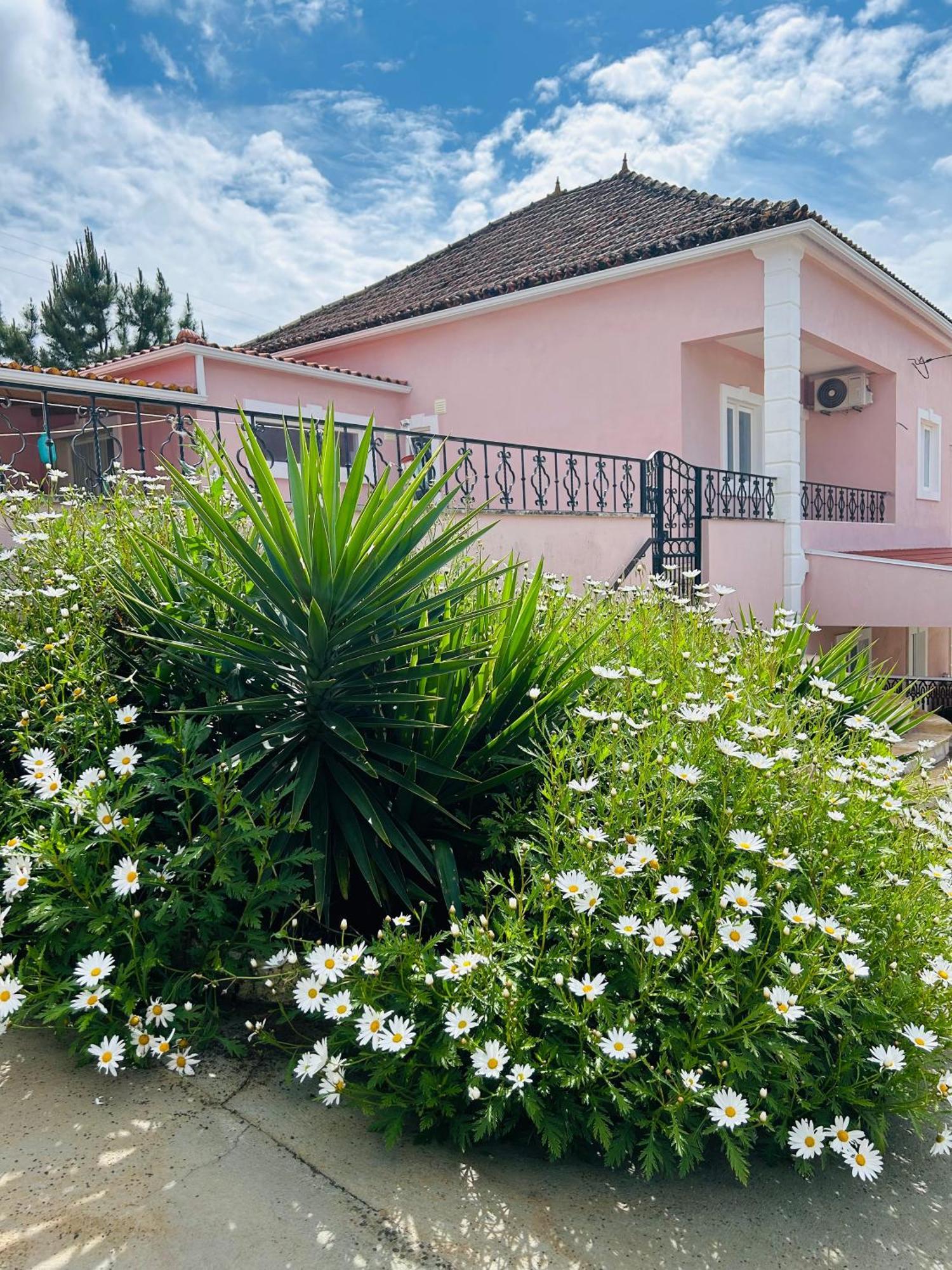 Mae Home Story Caldas Da Rainha Eksteriør billede