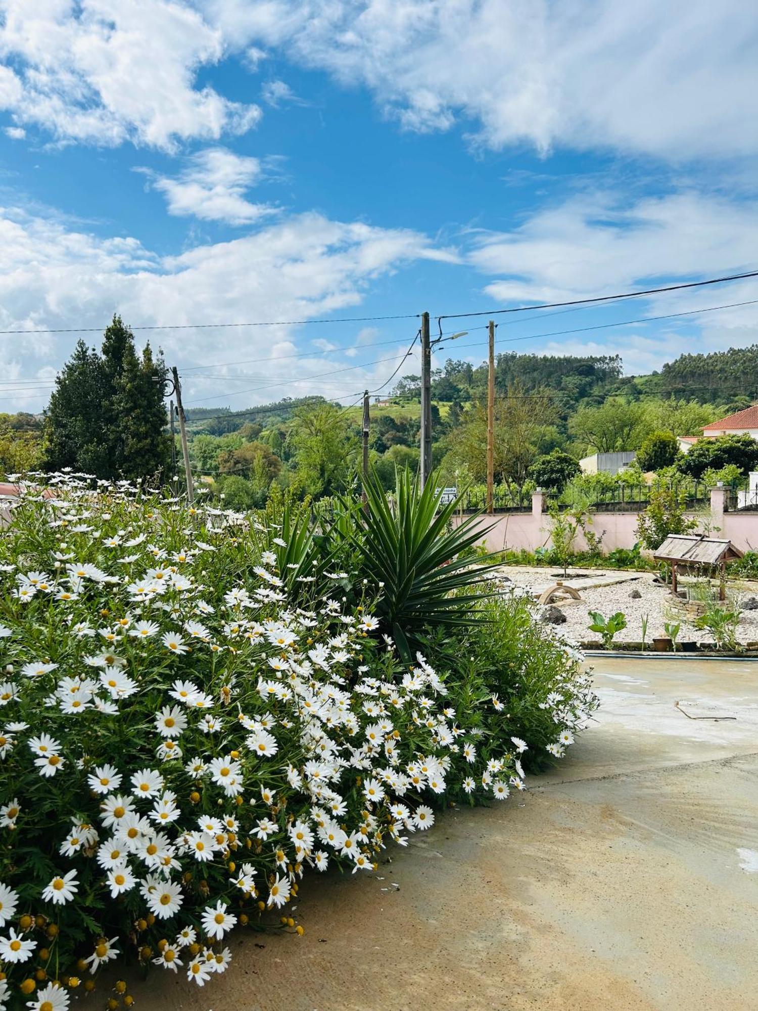 Mae Home Story Caldas Da Rainha Eksteriør billede